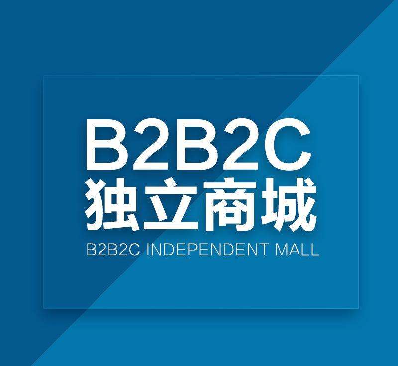 b2b2c商城系统有哪些设置功能