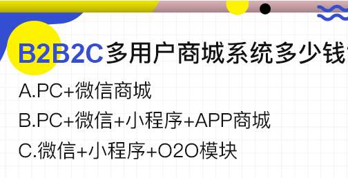 上海B2B2C电子商务系统开发多少钱